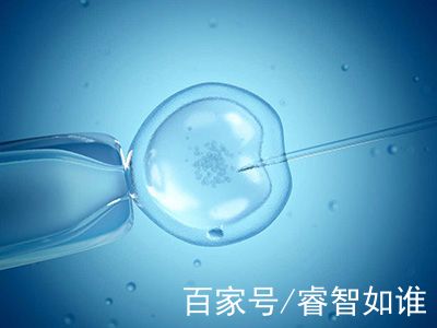 关于借卵代孕哪里做的最好